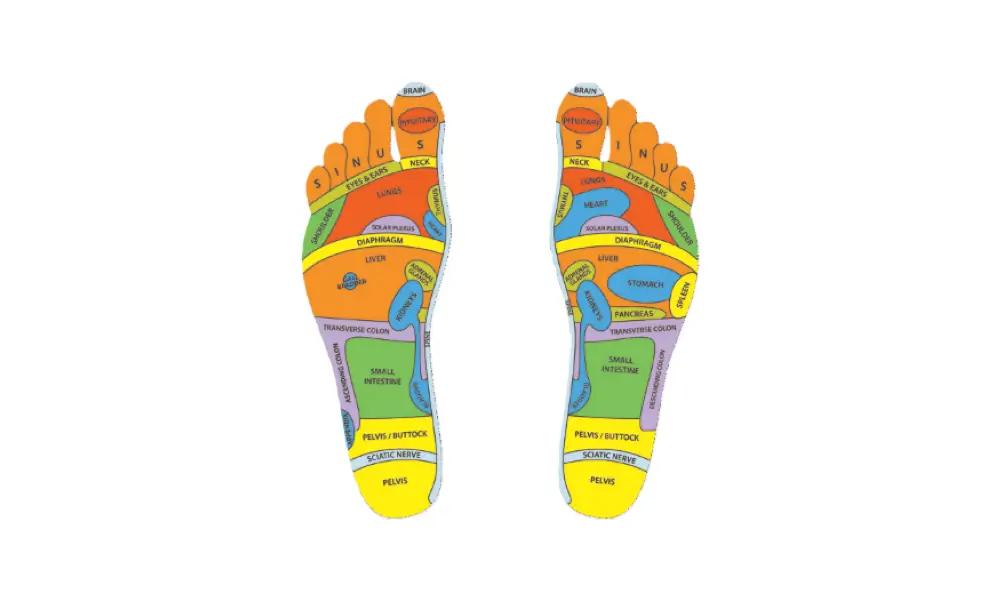 reflexology foot points